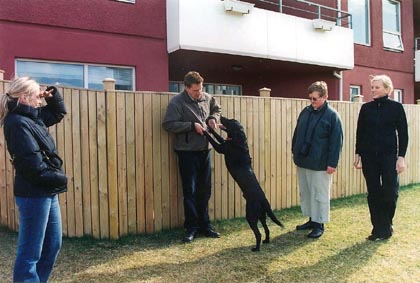 bessi og co
