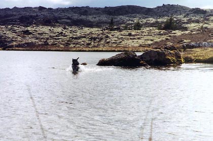 vatna kata-1