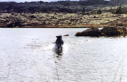 vatna kata-3