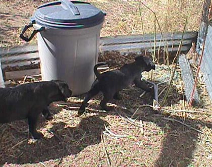 Kata02