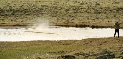 tholar-03-12